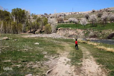باز به صحرا رسید کوکبه ی نوبهار...