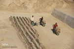 اینجا نان کسی آجر نمی‌شود، اینجا آجرها نان می‌شوند