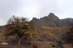 طبیعت پاییزی خراسان‌جنوبی