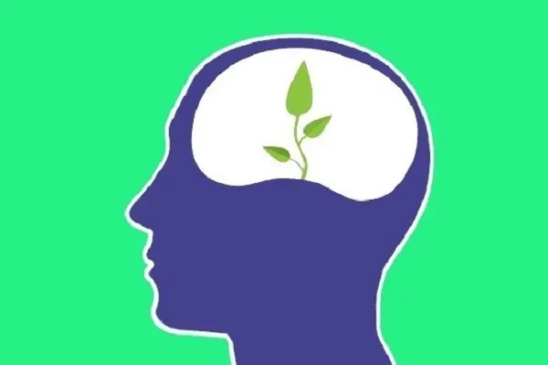 Position of Wisdom in Islamic Teachings