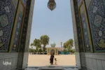 آغاز زندگی مشترک زوج های شیرازی همزمان با عید غدیر