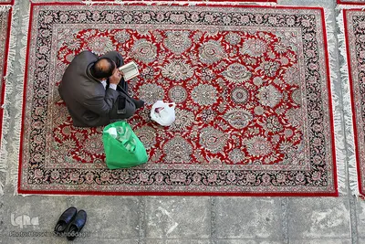 ترتیل‌خوانی در حرم حضرت معصومه(س)