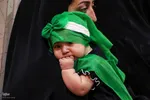 مراسم شیرخارگان حسینی در حسینیه اعظم زنجان