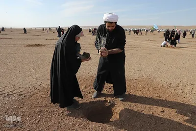 غرس نهال در روز طبیعت
