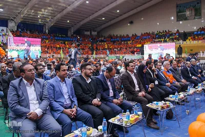 نارنجی پوشان، سفیران پاکیزگی