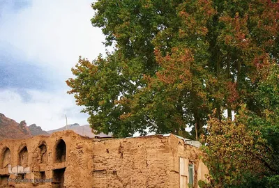 پاییز در روستای انجدان