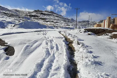 بارش برف