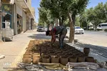 شهرضا؛ شهر ملی سفال