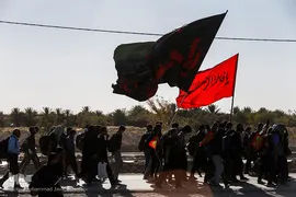 راهپیمایی اربعین مسیر نجف، کربلا / ۲