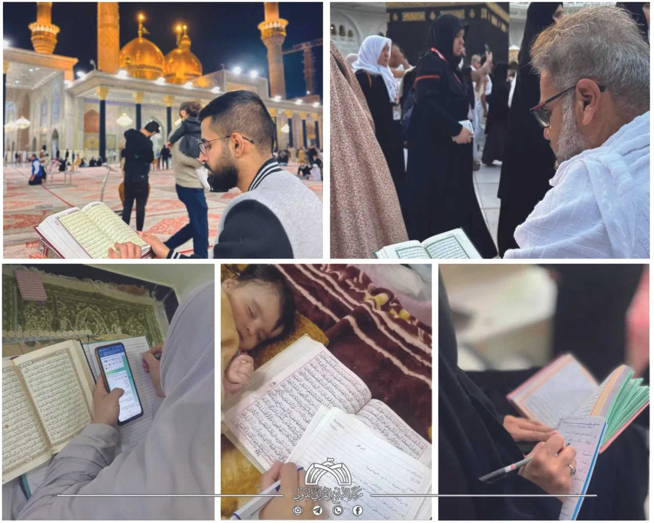 تنظيم دورة إلكترونية دولية لتفسير سورة 