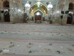 آغاز طرح اطعام مهدوی در خراسان‌جنوبی