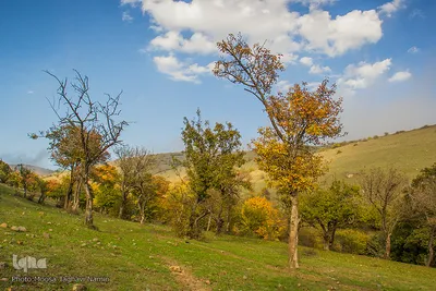 طبیعت پاییزی روستای خشه حیران نمین - اردبیل

