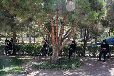 واکسیناسیون دانشجوین دانشگاه آزاد و فردوسی مشهد
