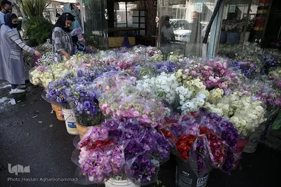 بازار گل شهید محلاتی در روز ملی گل