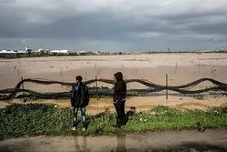 Rezim Zionis Sekali Lagi Menghancurkan Tanah Pertanian Palestina