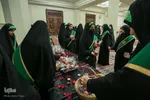 سیب بهشتی‎‎