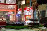 نمایشگاه هفته پژوهش استان البرز‎‎
