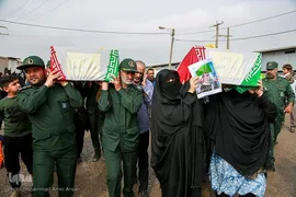 بازگشت لاله‌ها به آغوش وطن