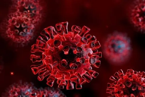تشریح جدیدترین آمار شیوع کرونا در چهارمحال‌وبختیاری