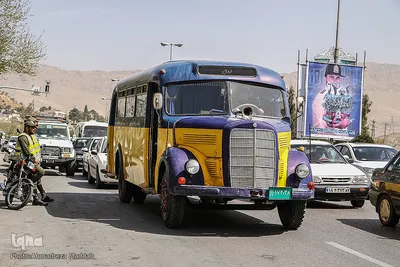 استقبال از مسافران نوروزی در شیراز