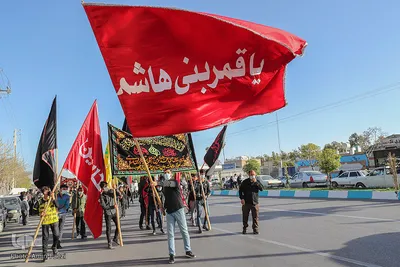 راهپیمایی و سوگواری "عاشقان باب الحوائج" در سومین حرم اهل بیت (ع)