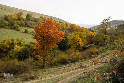 طبیعت پاییزی روستای خشه حیران نمین - اردبیل
