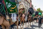 اجتماع بزرگ یوم العباس‎