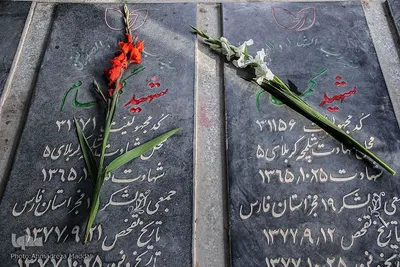 آیین آغاز هفته دولت در شیراز