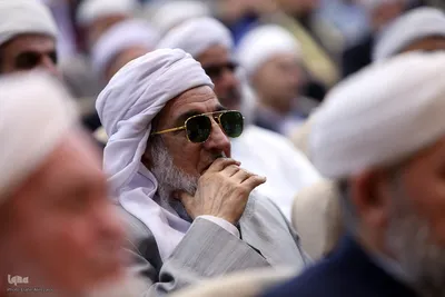 دیدار جمعی از علمای اهل سنت با رئیس مجلس