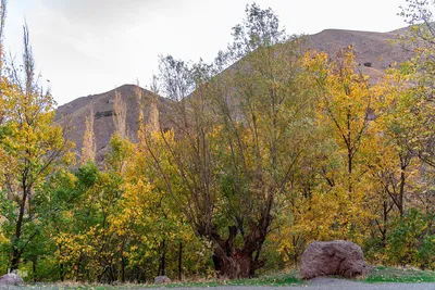 پاییز زیبای طالقان