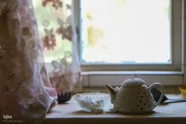 سکوت ویرانه ها،فریاد حقیقت است