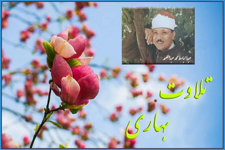 আব্দুল বাসেতের সুললিত কণ্ঠে সূরা জাসিয়া'র তিলাওয়াত
