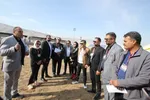 جشنواره زیبایی اسب اصیل ایرانی در استان فارس