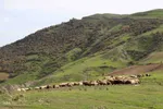 طبیعت پاییزی منطقه جنگلی تنباکولوی هوراند