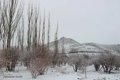 روستاهای سفیدپوش «قهستان»