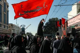 آیین پیاده‌روی جاماندگان اربعین حسینی در تهران(۲)
