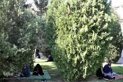 مراسم معنوی قرائت دعای «عرفه» در دانشگاه تهران