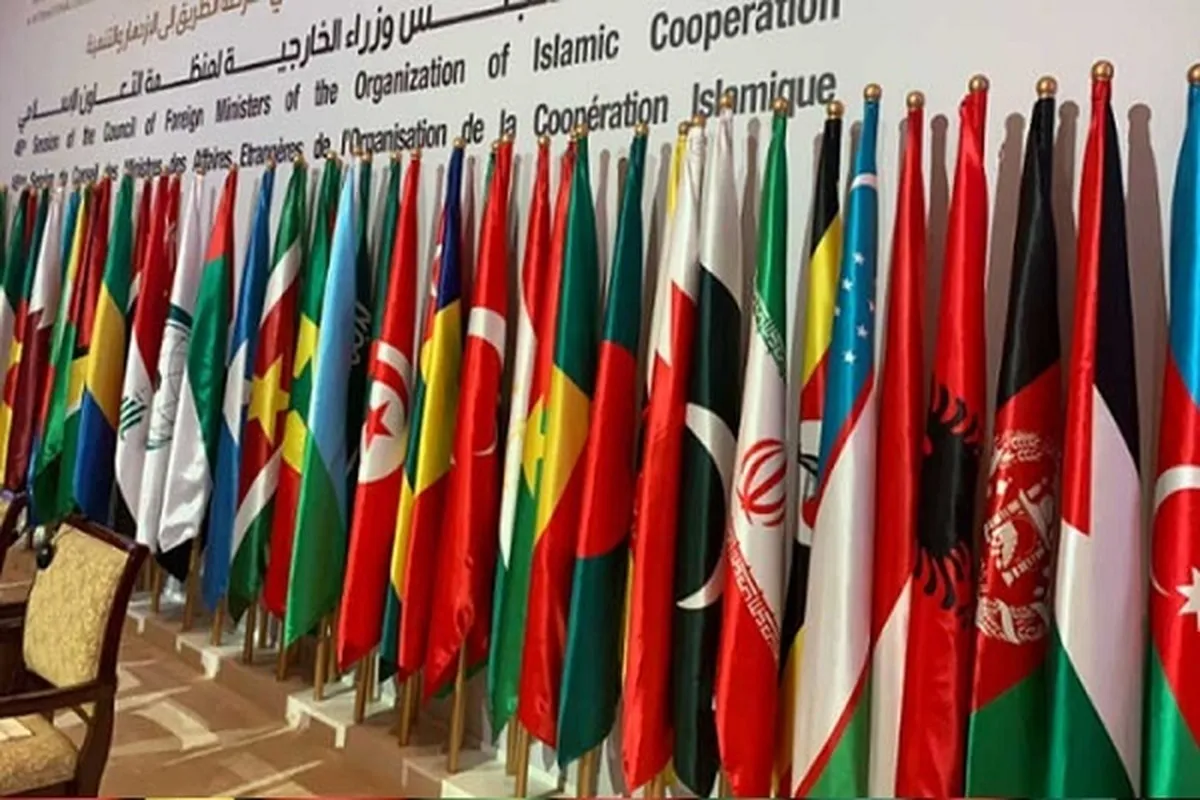 OIC Warns of Seriousness of Escalation of Israeli Aggression on Gaza
