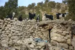 آخرین وضعیت روستاهای زلزله زده اندیکا