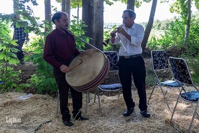جشن شکرانه برداشت میوه البرز