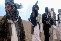 Taliban atəşkəs həftəsinin bitdiyini və hökumət qüvvələrinə hücum edəcəyini bildirib