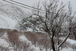 روستاهای سفیدپوش «قهستان»