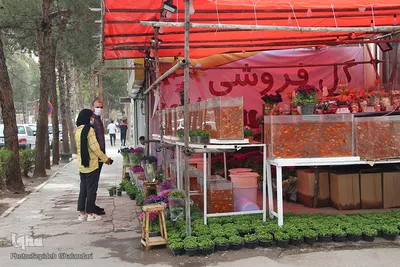 خیایان‌های شهر و بوی عید