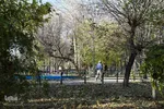 طبیعت برگ ریز پارک شیخ شهاب الدین اهری در آخرین ماه از فصل پاییز