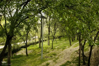 طبیعت بهاری تهران