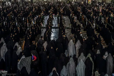 آیین لاله‌گردانی خدام حرم شاهچراغ(ع) در رثای شهادت امام رضا(ع)