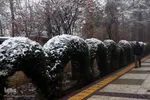 برف، رحمت الهی در سمنان