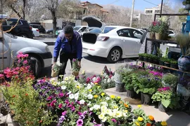 بازار گل شیراز‎‎ در آستانه سال نو