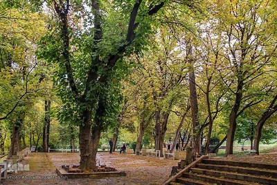جلوه گری پاییز در باغ ارم شیراز