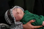 مراسم شیرخوارگان حسینی در یاسوج